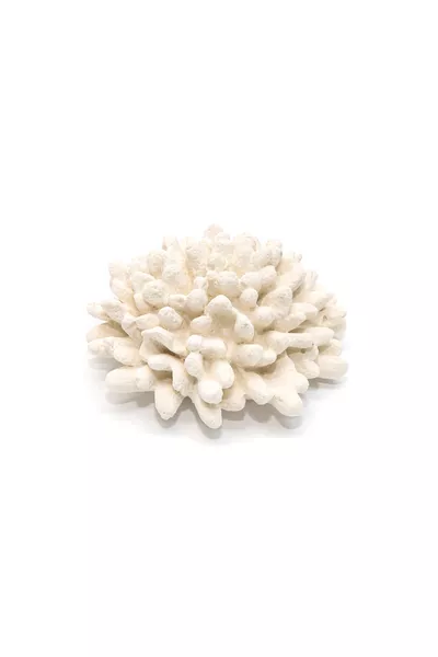  ml Kamergeur Voor Mercan Vervangende Stenen Met Katoen Fittingen