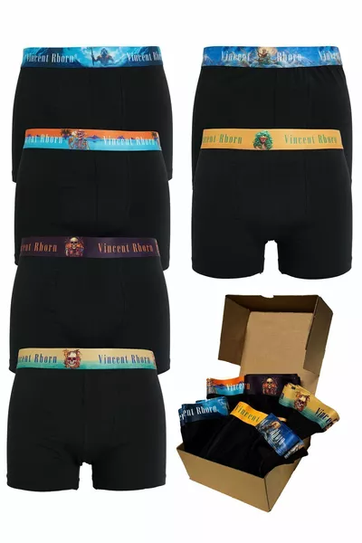 Мужские хлопковые эластичные боксёры, набор из 6 штук, Skull Havana и Olympos