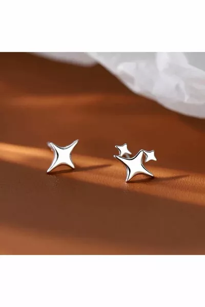 Elegant Tiny Star Steel Earrings | Silver Plating