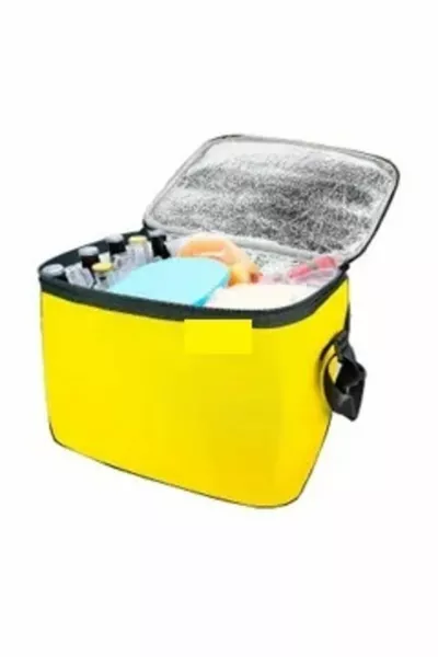 Thermo Thermal Bag  Liter Thermos Backpack Freezer (Everton Daily)