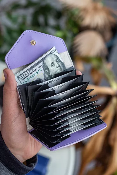 لفيف نباتي الجلود الأكورديون أرجواني المرأة حامل بطاقة المحفظة