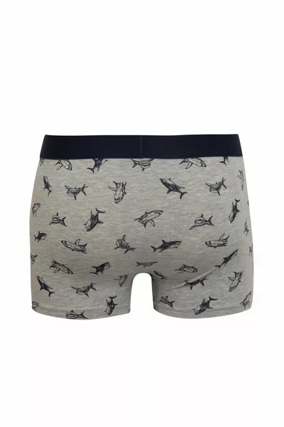 Regular Fit Boxer AZNS