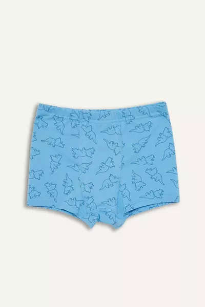 Boys' Patterned 3-Pack Boxer Shorts SP
