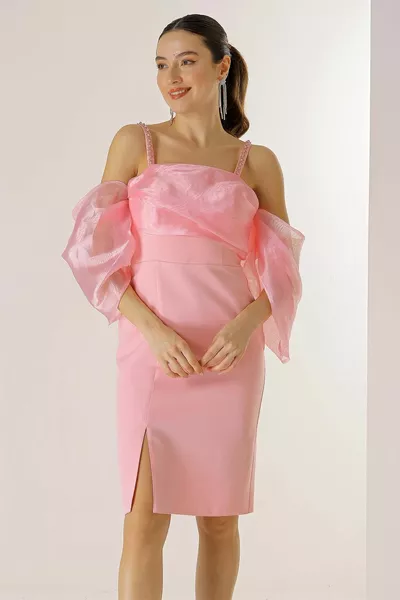 Мъниста Детайл Каишка От Органза Подплатена Креп Рокля с нисък ръкав