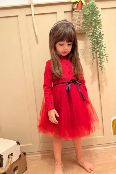 Red Polka Dot Tulle Long Sleeve Baby Girl Dress - Emily