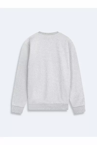 سويت شيرت رمادي بأكمام طويلة وياقة مستديرة