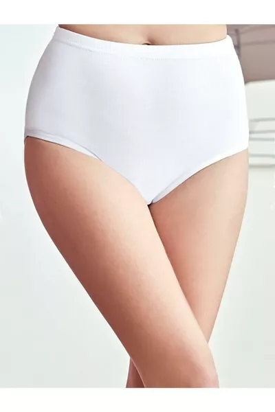 Women's Lycra Brief Panties -6 Pieces