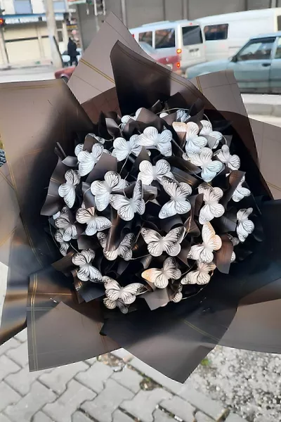 Bouquet de papillons lumineux à LED, cadeau