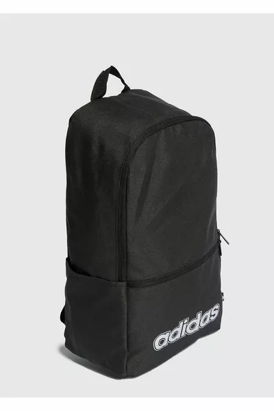 حقيبة ظهر نسائية سوداء من لن كلاس BP داي 