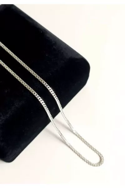 Асиено сребърно гурме колие 2 мм  см