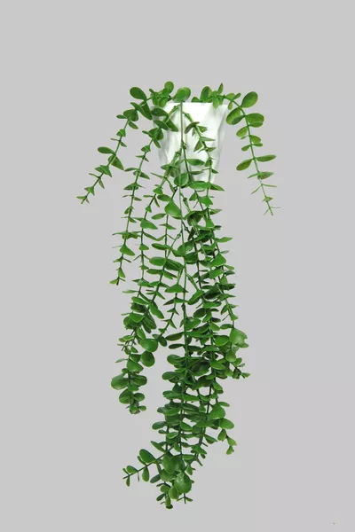 Искусственный цветок белый алмаз в горшке, одна ветка с зеленым эвкалиптом