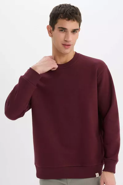 Oversize Loose Fit Crew Neck Thick Basic Plain Sweatshirt AU