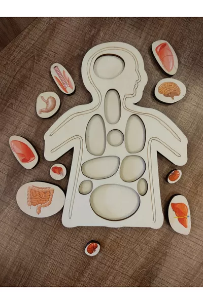 Bunte Holzpuzzle-Organe